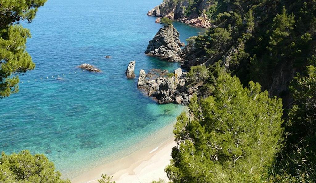 Apartament Antic Plankton - Calella Palafrugell - Free Parking, Beach, Wifi, Perfect Holidays カレリャ・デ・パラフルジェリ エクステリア 写真